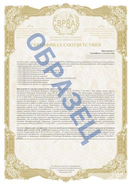 Образец Приложение к СТО 01.064.00220722.2-2020 Боровичи Сертификат СТО 01.064.00220722.2-2020 